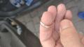 SOS Perso anello - Nova Siri (MT)