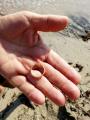 SOS Perso anello - Melendugno (LE)