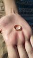 SOS Perso anello - Sabaudia (LT)