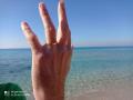 SOS Perso anello - Lizzano (TA)