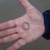 SOS Perso anello - Caorle (VE)