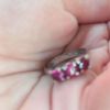 SOS Perso anello - Margherita di Savoia (BT)
