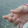 SOS Perso anello - Montesilvano (PE)