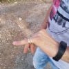 SOS Smarrito anello - Roma Monte migliore (RM)