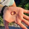 SOS Smarrito anello - Chignolo Po (PV)