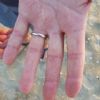 SOS Smarrito anello - Riccione (RN)
