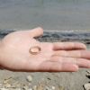 SOS Perso anello - Otranto (LE)