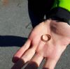 SOS Perso anello - Sulzano (BS)