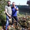 SOS Perso anello - Parma (PR)