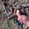 SOS Smarrito oggetto importante - SantApollinare (FR)