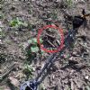SOS Smarrito oggetto importante - SantApollinare (FR)