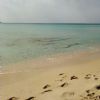 SOS Perso anello - Porto Cesareo (LE)