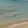 SOS Smarrito anello - Porto Cesareo (LE)