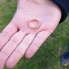 SOS Smarrito anello - Quarrata (PT)