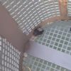 SOS Smarrito anello - Pescara (PE)