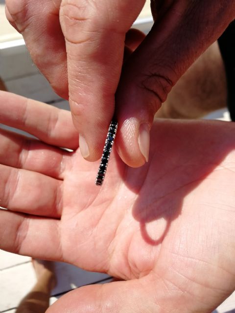 Recupero anello perso a Gallipoli (LE)