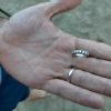 SOS Perso anello - Giulianova (TE)