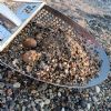 SOS Perso anello - Pietra Ligure (SV)